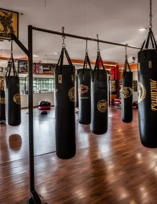 best muay thai gym