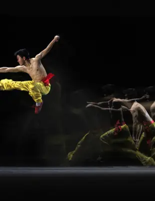 Exploring the Rich History of Shaolin Kempo